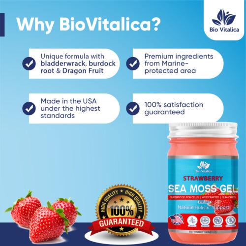 Sea Moss Gel - Irish Sea Moss Raw Gel Strawberry Flavor | Vegan Superfood Supplement Rich in Minerals & Vitamins – Boosts Immunity, Metabolism, Skin, Hair & Digestion Healthcare Dietary Organic Fitness Edible