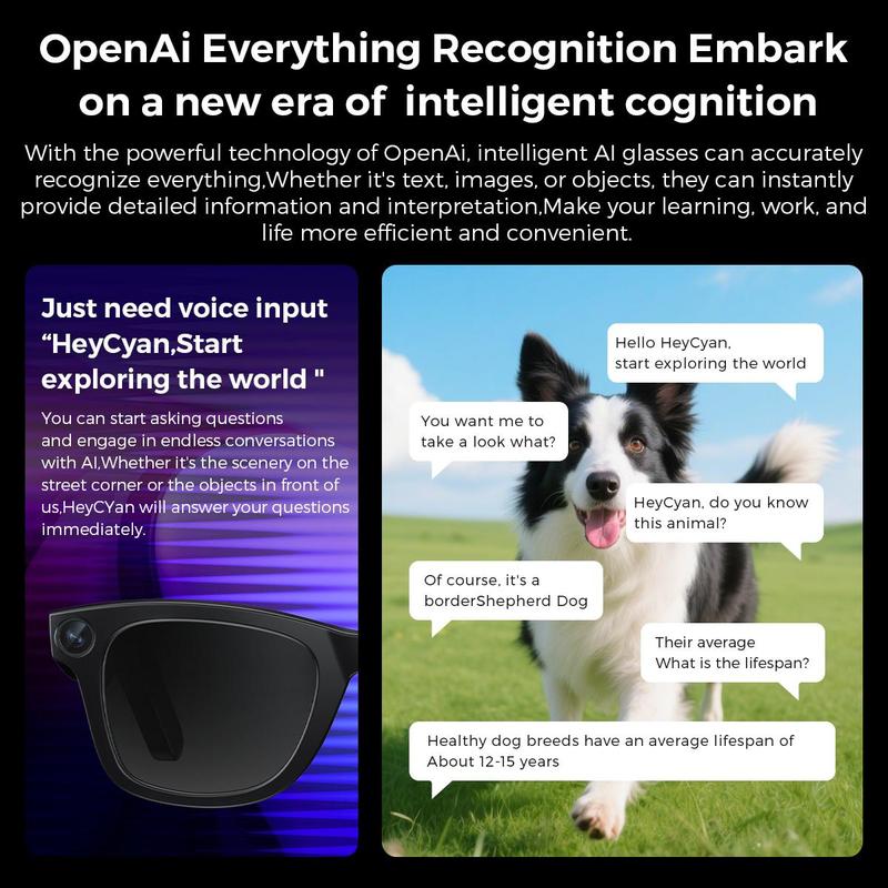 【Ivision6】AI Smart Glasses with 800W HD Camera – OpenAI Recognition, 1080P Anti-Shake Video, Real-Time Translation & Long Battery Life – Travel, Outdoor Adventures, Daily Fun, Hands-Free Convenience, Ideal Gift for Tech Enthusiasts & Frequent Travelers