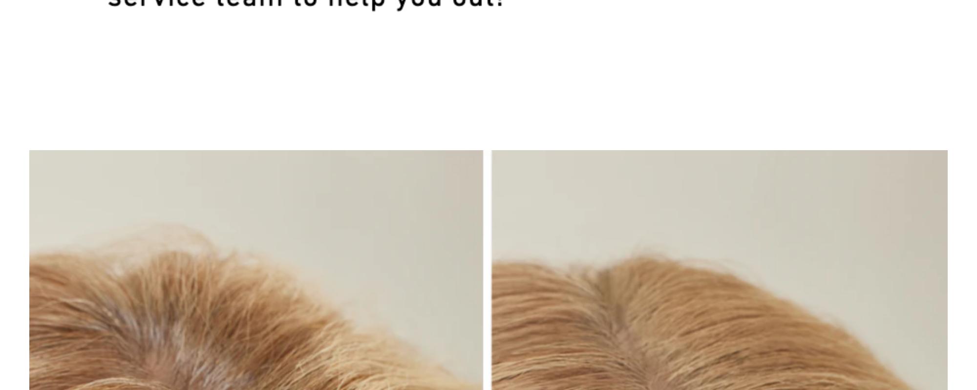 Buy One Get one Free Hairline Powder