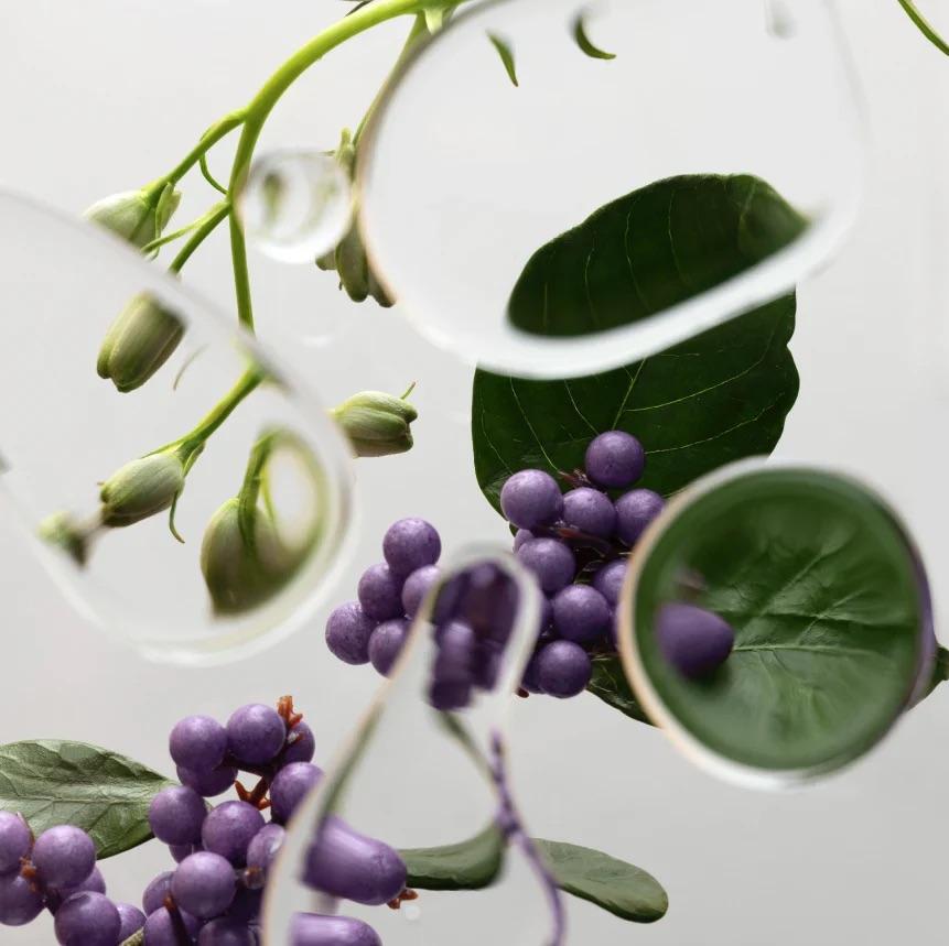 Vegamour GRO Revitalizing Shampoo & Conditioner Set | Hydrating Vegan Formula that Removes Buildup, Strengthens & Promotes Fuller, Thicker Hair, No Harsh Chemicals, All Hair Types & Color Safe