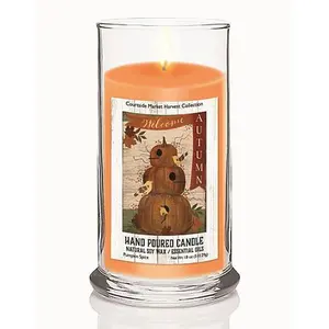 Courtside Market Harvest Welcome Pumpkin Spice Soy Wax Candle