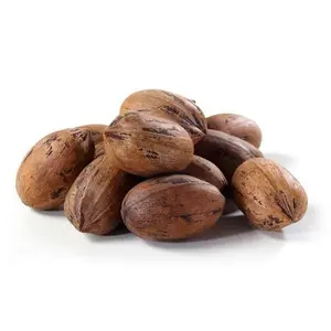 Pecans In Shell Pecans In Shell