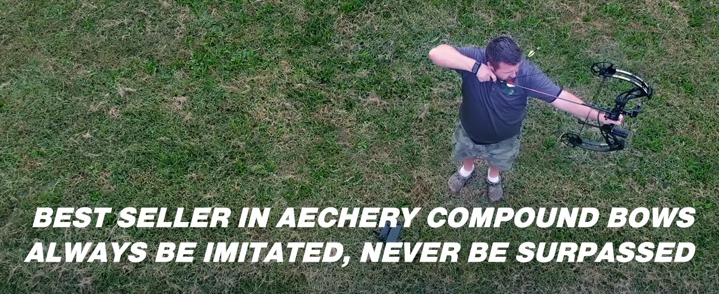 Sanlida Archery Dragon X8 RTH Compound Bow Package for Adults and Teens,18”-31” Draw Length,0-70 Lbs Draw Weight,up to IBO 310 fps,No Bow Press Needed,Limbs Made in USA,Limited Life-time Warranty (RH Only)