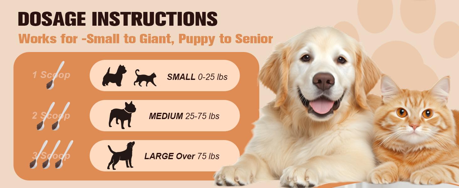 Turkey Tail Mushroom Powder for Dogs&Cats-JUMBO SIZE-120 servings,For Lumps & Bumps, Immunity,Respiratory, Digestion & Cellular Health-UPGRADED FORMULA Turkey Tail Mushroom Powder for Dogs&Cats-JUMBO SIZE-120 servings,For Lumps & Bumps, Immunity,Respiratory, Digestion & Cellular Health-UPGRADED FORMULA