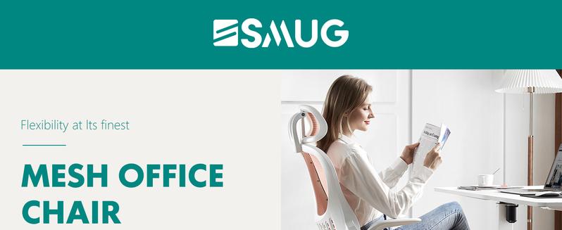 Computer Desk Chair, Ergonomic High-Back Mesh Rolling Work Chairs with Wheels and Adjustable Headrests, Lumbar Support, Flip-up Arms