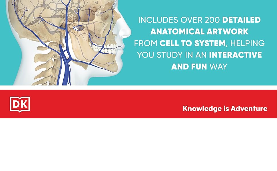 Human Anatomy Coloring Book (2nd Edition) • Premium Anatomical Study Guide for Medical & Nursing Students