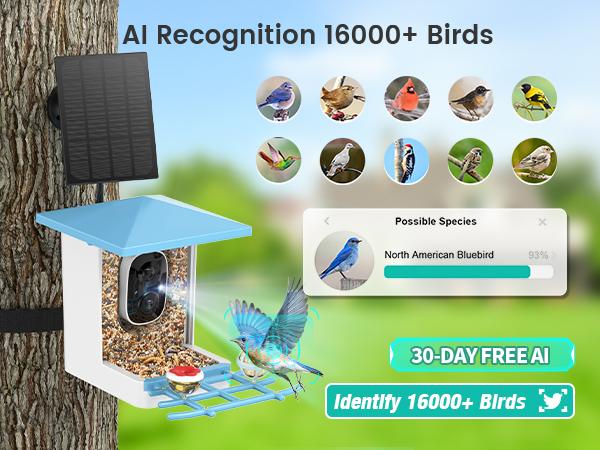 Smart Bird Feeder with Camera Series – AI-Powered, Solar, 2K/2.5K HD, Auto-Bird ID, Motion Alerts, Perfect Gift for Bird Lovers