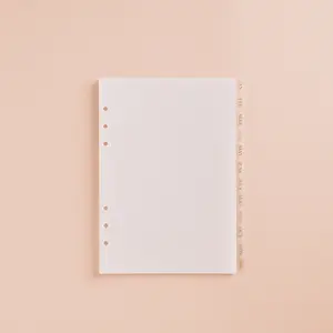 Monthly 12 Tab Dividers for Journals - Easy Insertion & Removal Tabs from January to December - Perfect for Organizing Monthly Pages