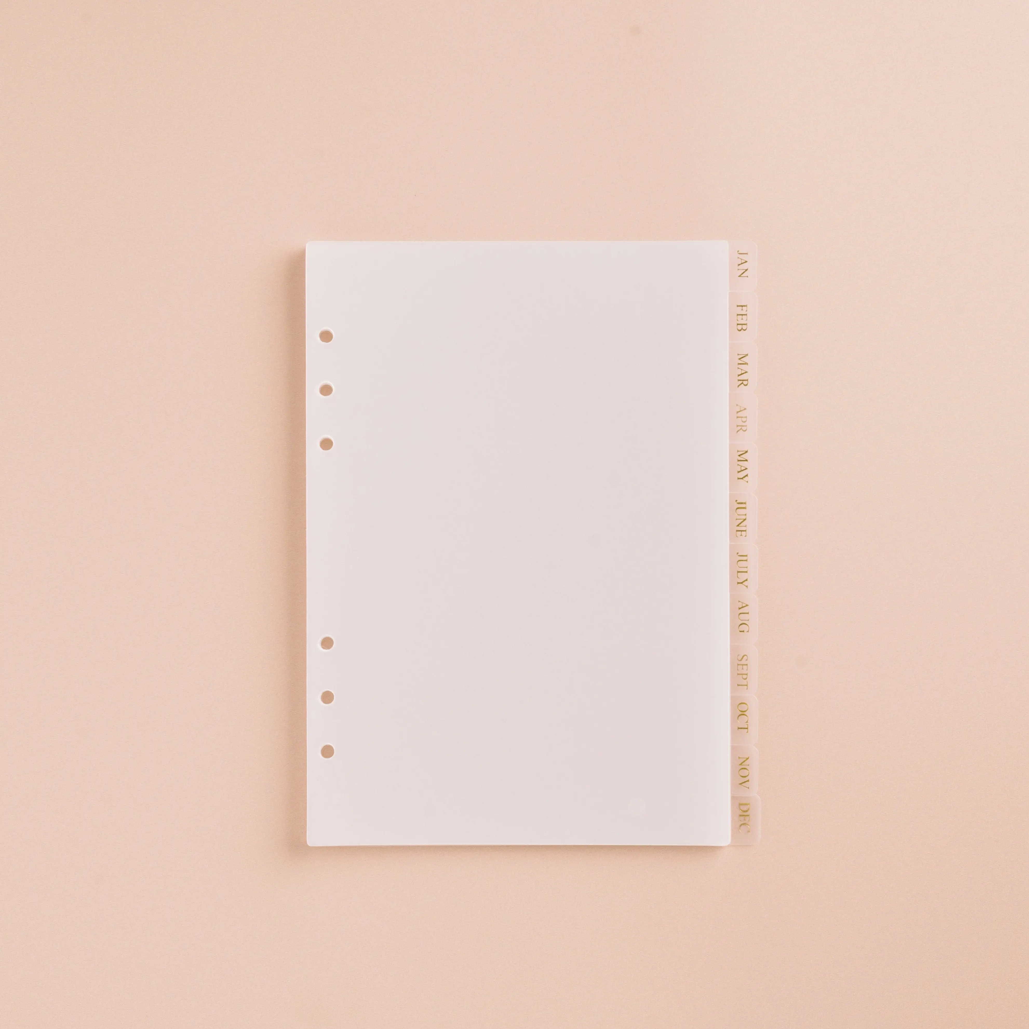 Monthly 12 Tab Dividers for Journals - Easy Insertion & Removal Tabs from January to December - Perfect for Organizing Monthly Pages