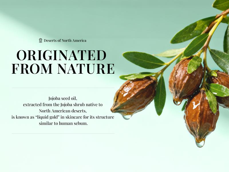 New!Sttes Shower Oil 02# (Irresistible Sunshine) 5.47 oz – Moisturizing Body Wash with Pistachio, Almond, Vanilla & Salted Caramel, Natural Plant Oils, No Mineral Oil, Parabens or Phthalates New!Sttes Shower Oil 02# (Irresistible Sunshine) 5.47 oz – Moisturizing Body Wash with Pistachio, Almond, Vanilla & Salted Caramel, Natural Plant Oils, No Mineral Oil, Parabens or Phthalates