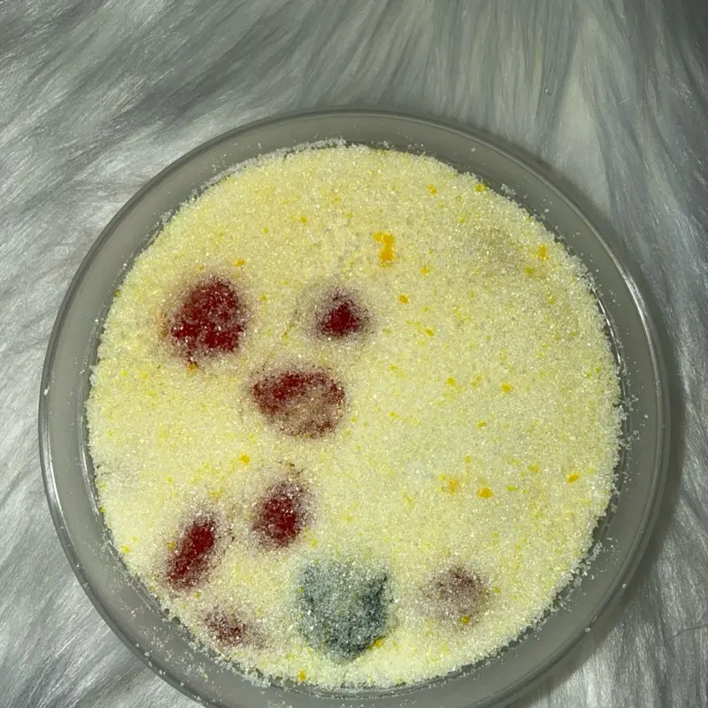 One 8oz Container of Lemon Sour Dour Bites Sweet Snack Vibrant Chewy Gusher Candies with Tangy Sour Coating & Fruity Gel Filling in Fruity Flavors Bonbon - Cherry