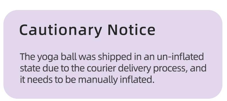 LEXI Small Exercise Ball for Pilates Yoga and Barre Workout Anti Burst Mini Stability Ball for Core Balance Training and Back Support Exercise