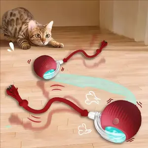 Interactive Cat Toy Ball for Indoor Cats, Rechargeable Moving Ball with String