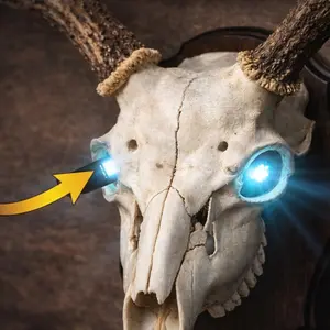 EuroGlow LED Skull Mount Lights