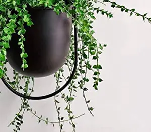 Black Metal Bullet Hanging Planter