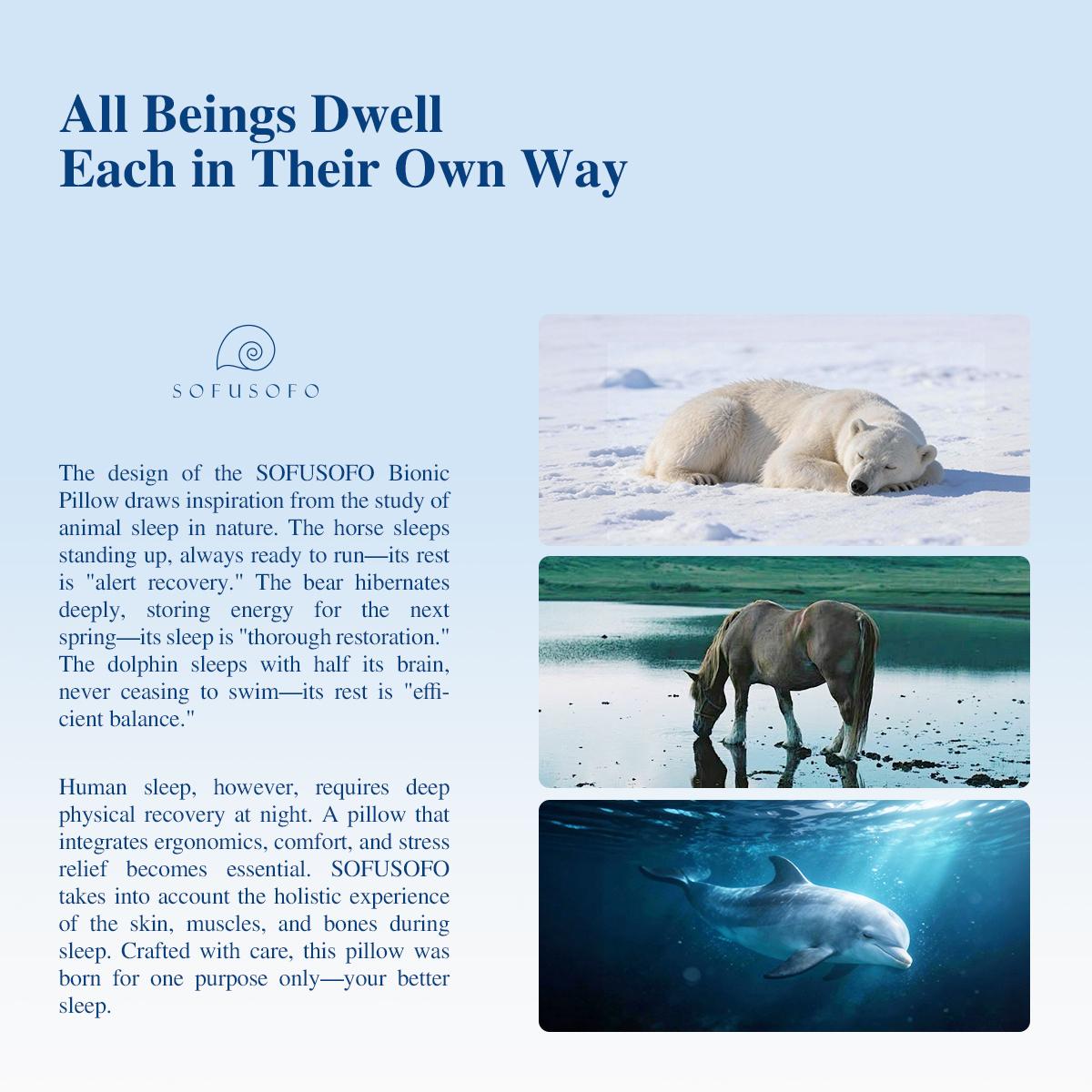 SOFUSOFO Hybrid Neck Pillow with 72 Micro-Coils for Pain Relief & Support