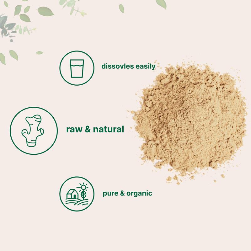 Micro Ingredients Organic Ginger Powder