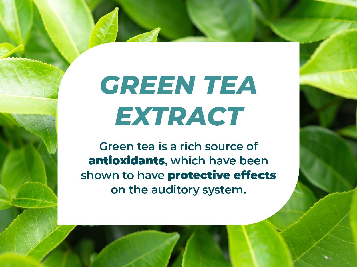 Hearing Support Formula by PUREHEALTH RESEARCH - Tinnitus Supplement with Flavonoids & Hearing Vitamins to Help Silence The Noise, Safely and Naturally - 120 Capsules Edible Dietary Healthcare Hearing Support Formula by PUREHEALTH RESEARCH - Tinnitus Supplement with Flavonoids & Hearing Vitamins to Help Silence The Noise, Safely and Naturally - 120 Capsules Edible Dietary Healthcare