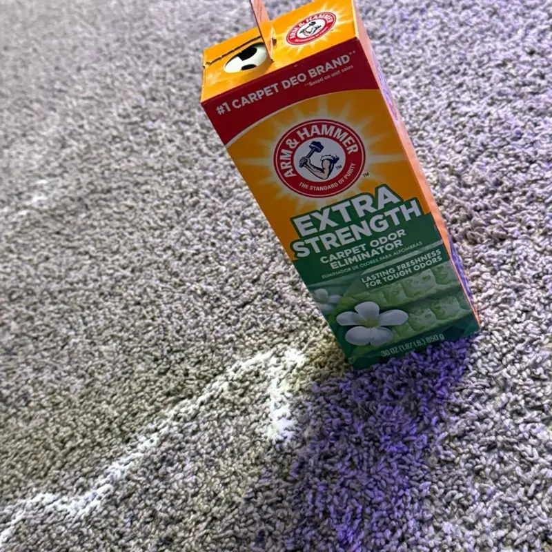 Arm & Hammer Extra Strength Carpet Odor Eliminator Eliminador de Olores para Alfombras