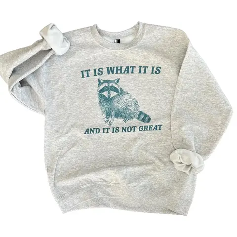 It Is What It Is and It’s Not Great Sweatshirt or T-Shirt