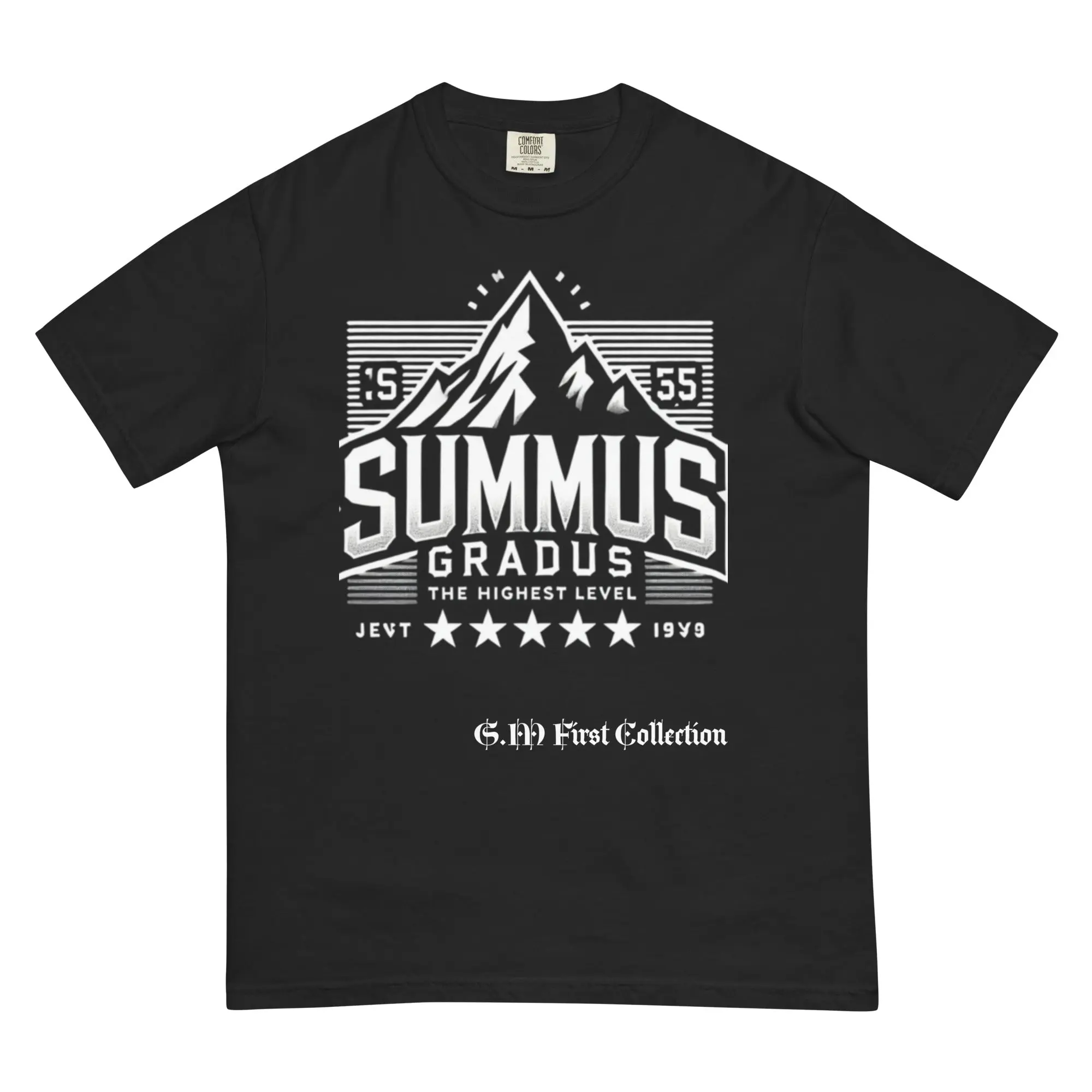Unisex garment-dyed heavyweight T-shirt (S.G. First Collection)