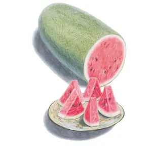 Charleston Gray Watermelon Seeds Charleston Gray Watermelon Seeds