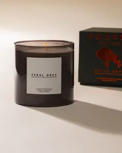 FERAL GREY - 100% Soy Wax Blend Hand-poured Scented Candles  & Fragrances Decor Freshener