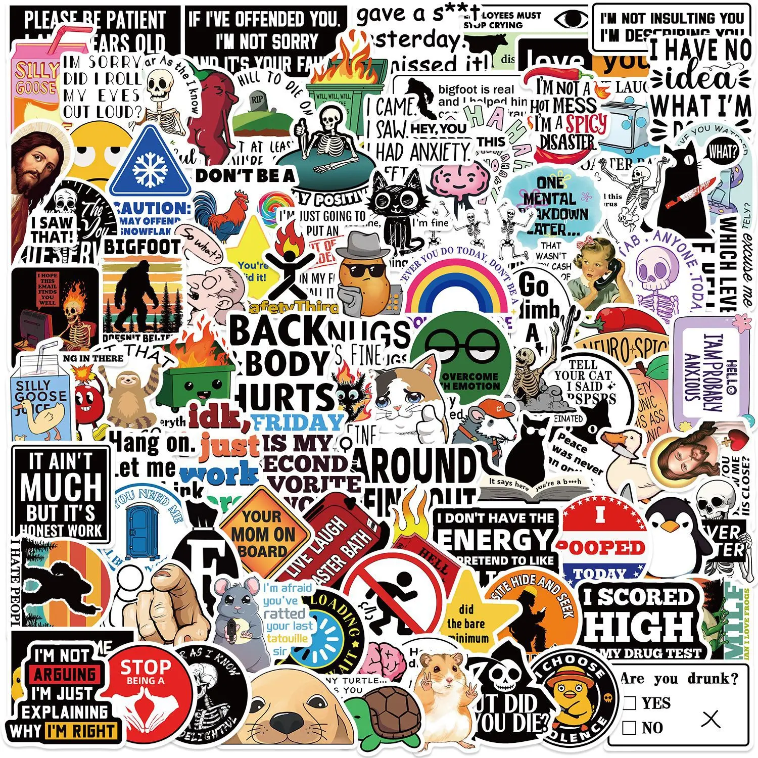 100pc Funny Saying Sticker Pack Cute Gift Humor Slang Safety Helmet Slogan Stickers Bookish Era Decorative Vinyl Waterproof for Book CellPhone Laptop Water Bottle Durable Craft Stickers for Scrapbook Supply Weatherproof Durable