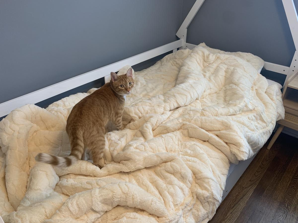 Item: Beige & White, Twin-2pcs: 64"x88"