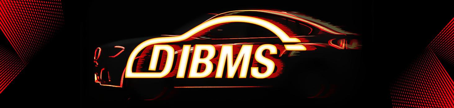 DIBMS 71英寸高亮度汽车引擎盖缝隙LED灯条 - 环境照明套装