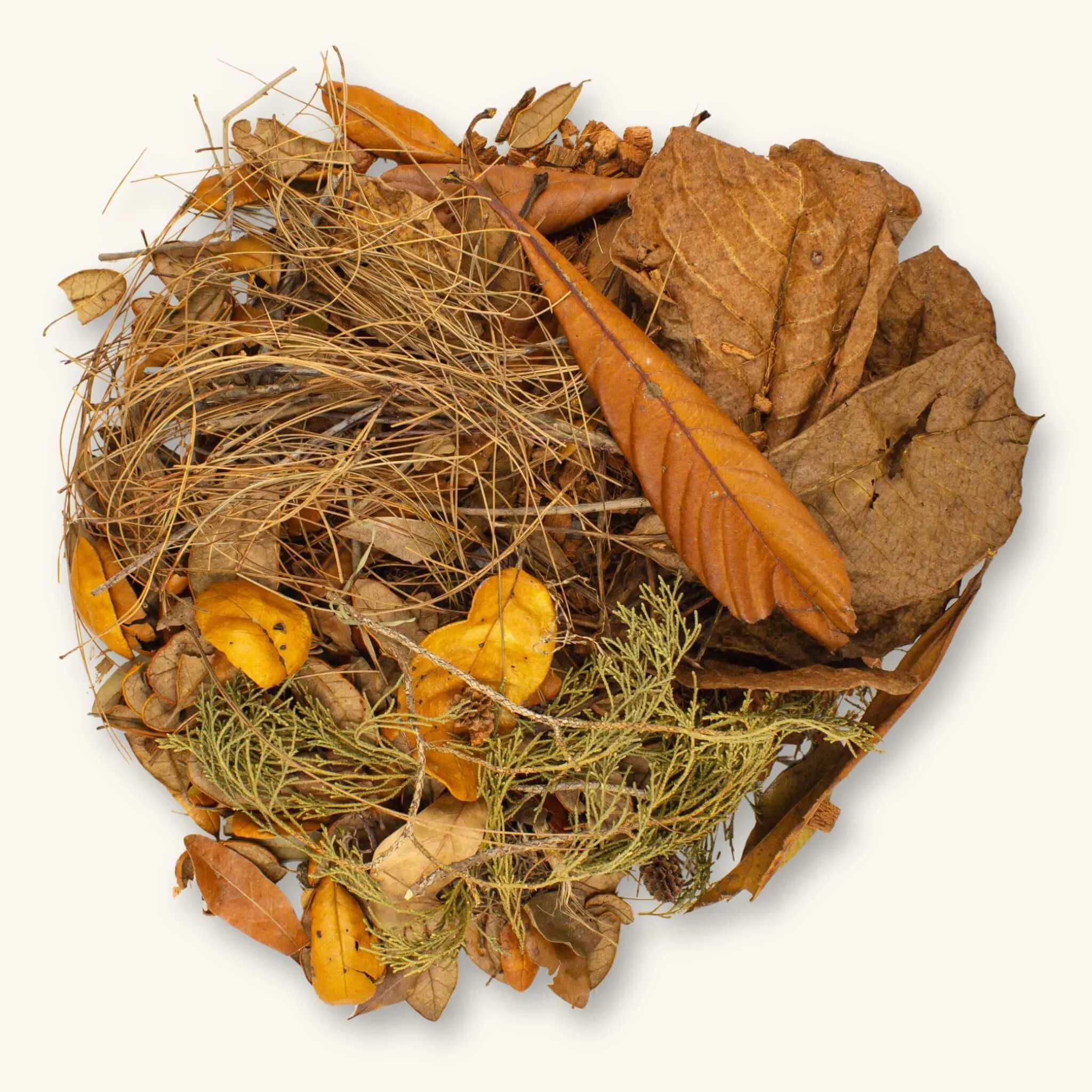 The Everglades Biotope Variety Pack by Betta Botanicals