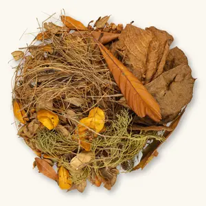 The Everglades Biotope Variety Pack by Betta Botanicals