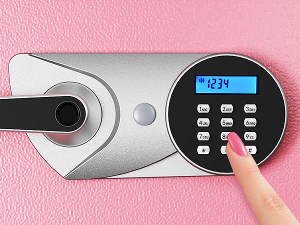 BlackSmith Home Biometric Safe 1.0 Cub Quick Access Fingerprint Lock Box With Keys Keypad Wall Mount Cabinet Safe Secure Money Jewelry with Fireproof Bag Mute Mode LED Light, Pink