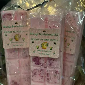 *PRICKLE Me Pink* Baja Cactus SNAP BARS - Soy, 3 oz, Clean Fragrance, Vegan, Highly Scented