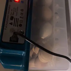 Incubadora Automática Inteligente 2026 de Alta Capacidad - Hatcher Digital con Control de Temperatura y Humedad para Todo Tipo de Aves (Pollo, Pato, Codorniz) Smart System Biological Chamber