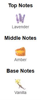 Maison Alhambra Your Touch Amber for Men Eau de Parfum Spray, 3.4 Ounce