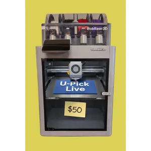 RobRawr3D U-Pick Live Build A Box of 3D Prints Interactive Fun Options Fidgets Dragons Décor Characters Animals Dinosaurs $50