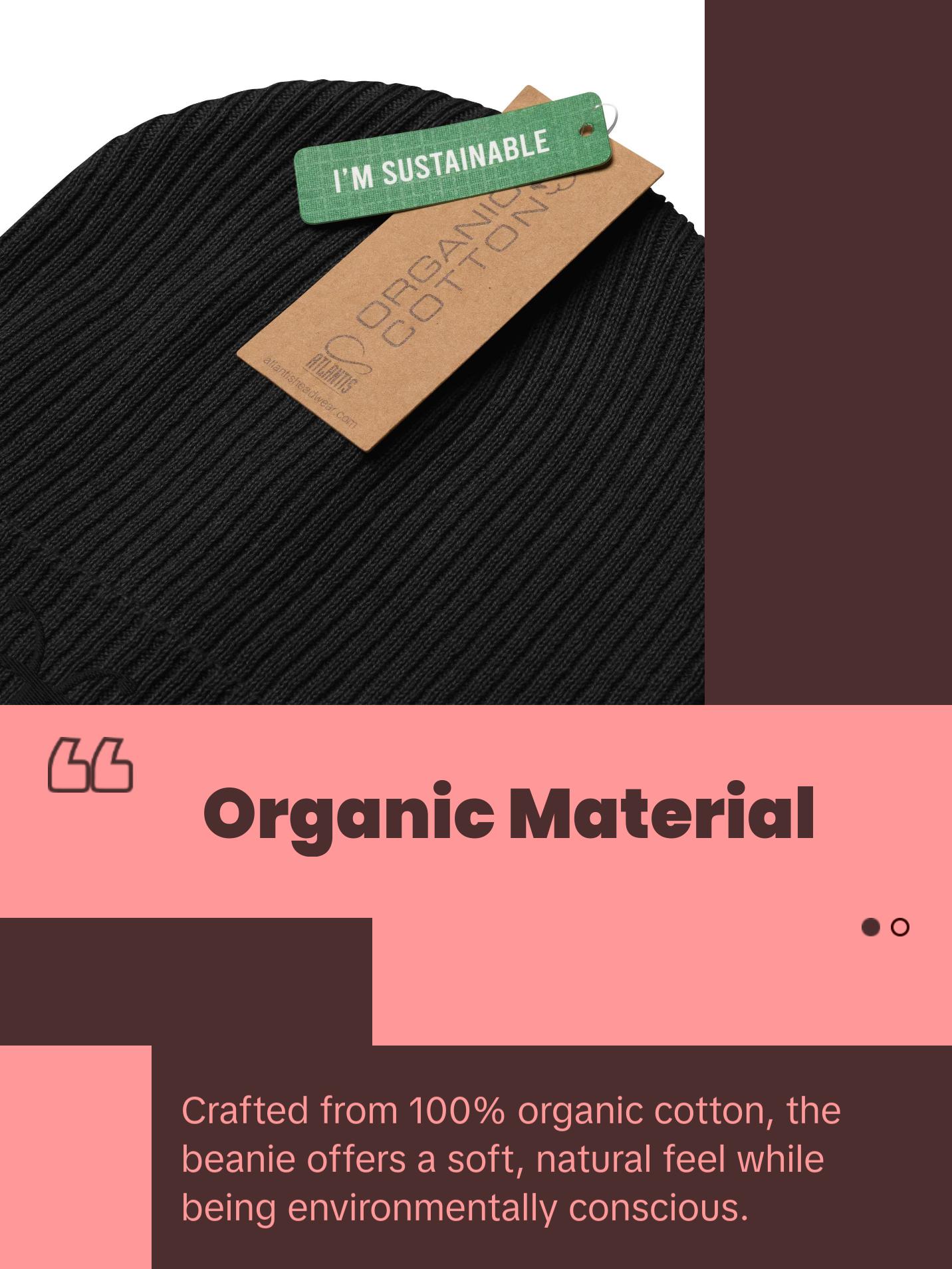 EcoLux Street Knit Beanie - Berliozaboyz Organic