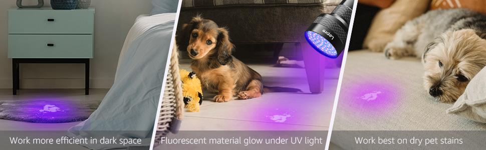 Lepro 51 LEDs UV Light Handheld Blacklight, UV Flashlight Black Light, 395nm Detector for Pet Urine, Stains, Bed Bug and Scorpions, Battery Not Included -1