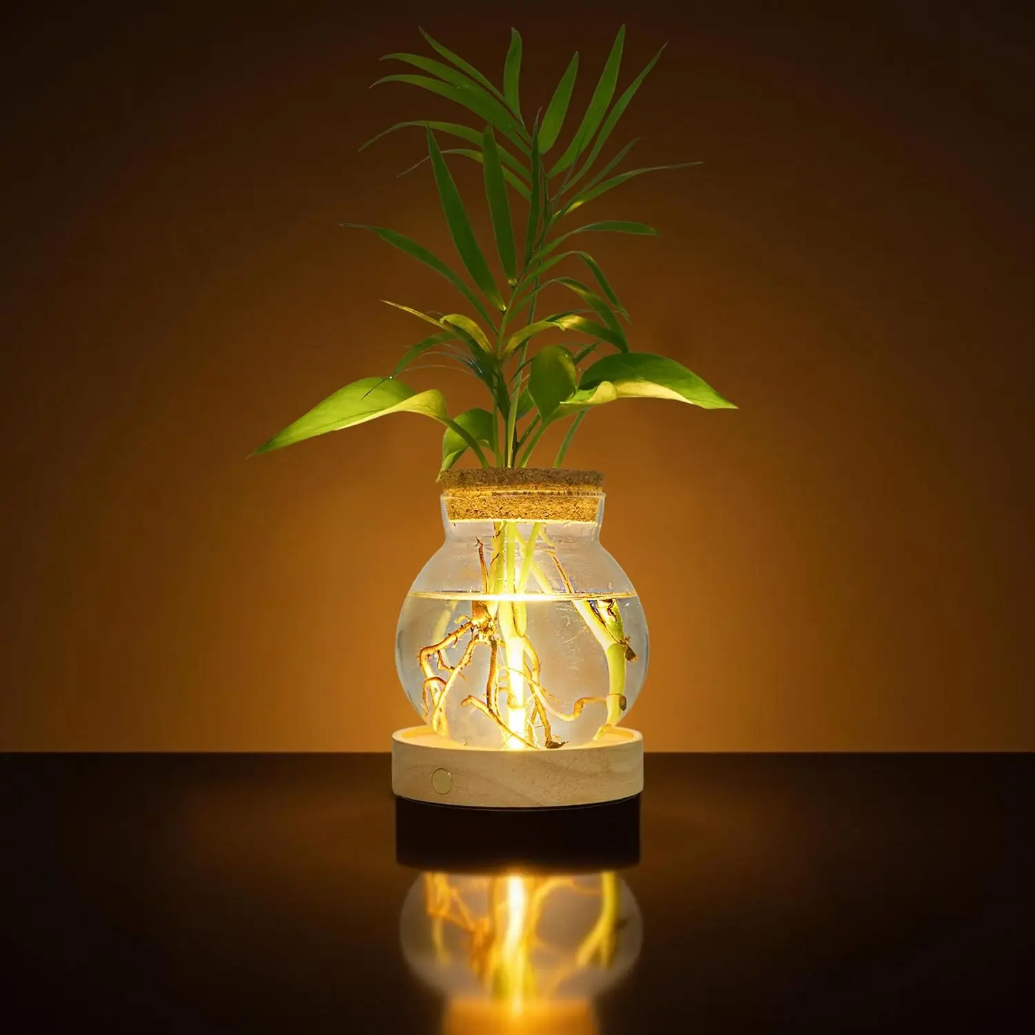Plant Propagation Station with Wooden Saucer - Minimalist Glass Terrarium Vase Jars, Stepless Dim Glow LED Light, Indoor Care Support, Home Decor Pots, Gifts for Women, Minimalist Glass Look Elevates Decor