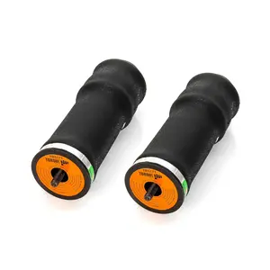 2 pack of TORQUE Cab Air Sleeper Bag Spring for Select Volvo Trucks (Replaces Goodyear 1S5-171, Volvo 21165207, 8074629, 20462622) (2 x TR5171)