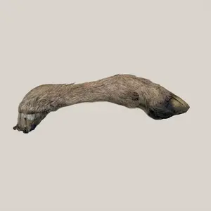 Lamb Leg Dog Chew With Hoove - Whole and Half