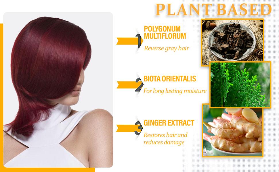 Dark Wine Red Hair Dye Shampoo 3-in-1, Instant Grey Coverage & Long-Lasting Color, Natural Herbal Formula, Nourishing & Easy to Use, Champu Para Canas for Men & Women, 500ml Haircare Dark Wine Red Hair Dye Shampoo 3-in-1, Instant Grey Coverage & Long-Lasting Color, Natural Herbal Formula, Nourishing & Easy to Use, Champu Para Canas for Men & Women, 500ml Haircare