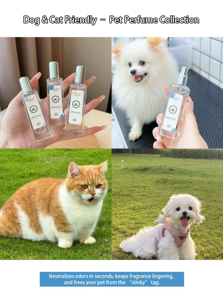 Pet Deodorizing & Calming Spray - Alcohol-Free, Non-Irritating, Safe if Licked - Pheromone-Free Mist for Dogs & Cats - 1 fl oz