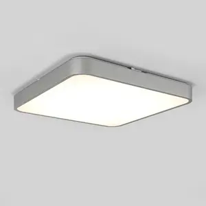 Europa 18 in. LED flush mount light - with remote