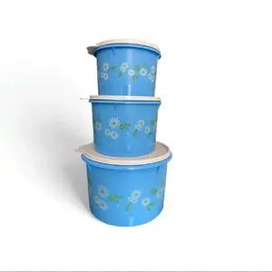 Daisy Fridge Containers