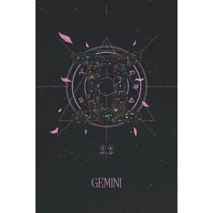 Gemini Zodiac Journal: Horoscope Notebook with Starry Night Sky & Floral Astrological Sign | Great Gemini Gift (Zodiac Journals - Beautiful Horoscope Notebooks for Astrology Lovers) Paperback – July 7, 2021