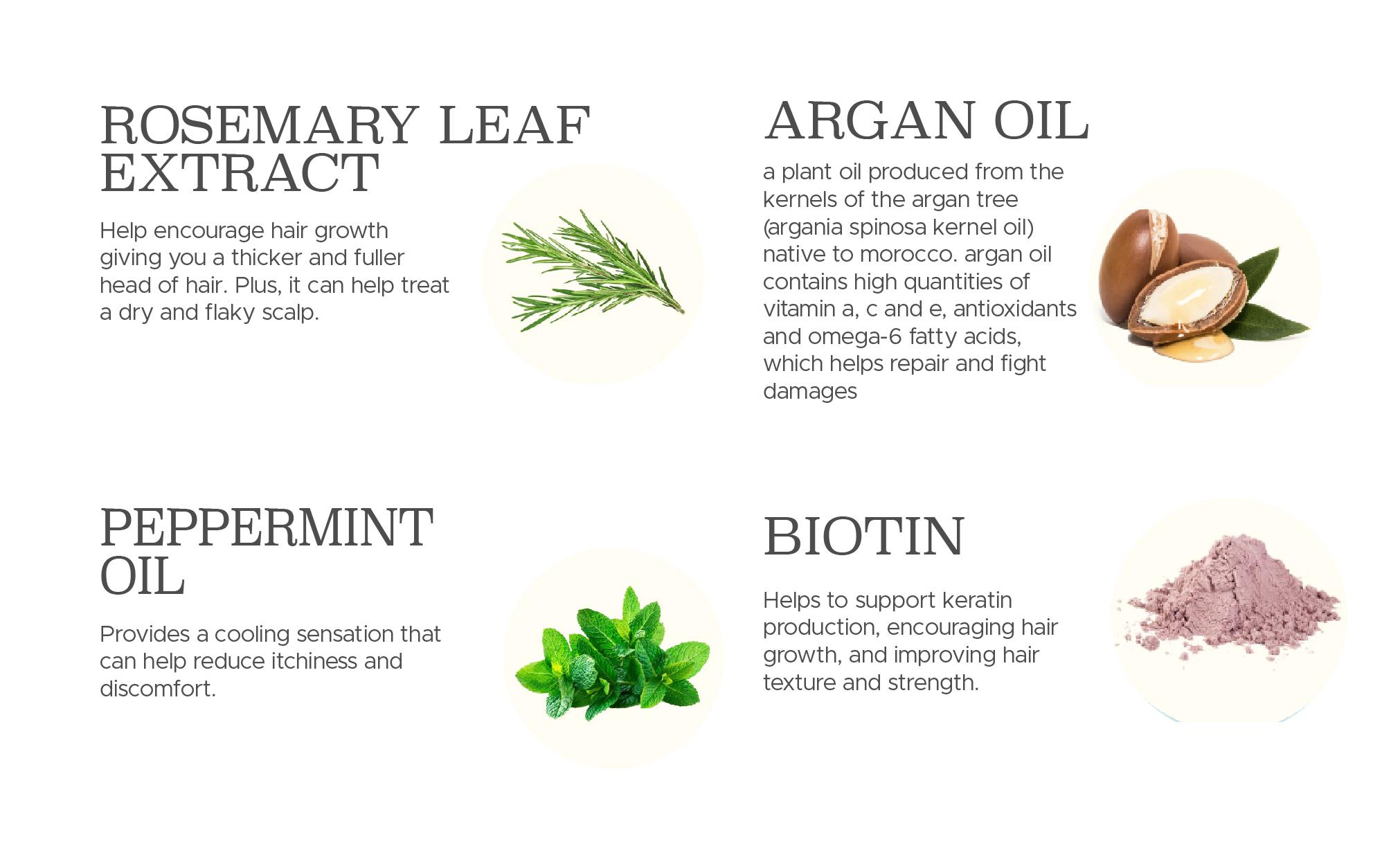 Luseta Rosemary Mint Complex Shampoo & Conditioner Sulfate Free Paraben Free Hair Loss Regrowth Natural Ingredients Luseta Rosemary Mint Complex Shampoo & Conditioner Sulfate Free Paraben Free Hair Loss Regrowth Natural Ingredients