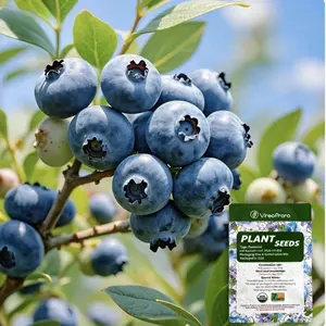Blueberry Seeds for Garden Planting, Fruit Plant Seeds for Outdoor Growing, Suitable for Home Gardens, Yard Planting and Container Gardening
