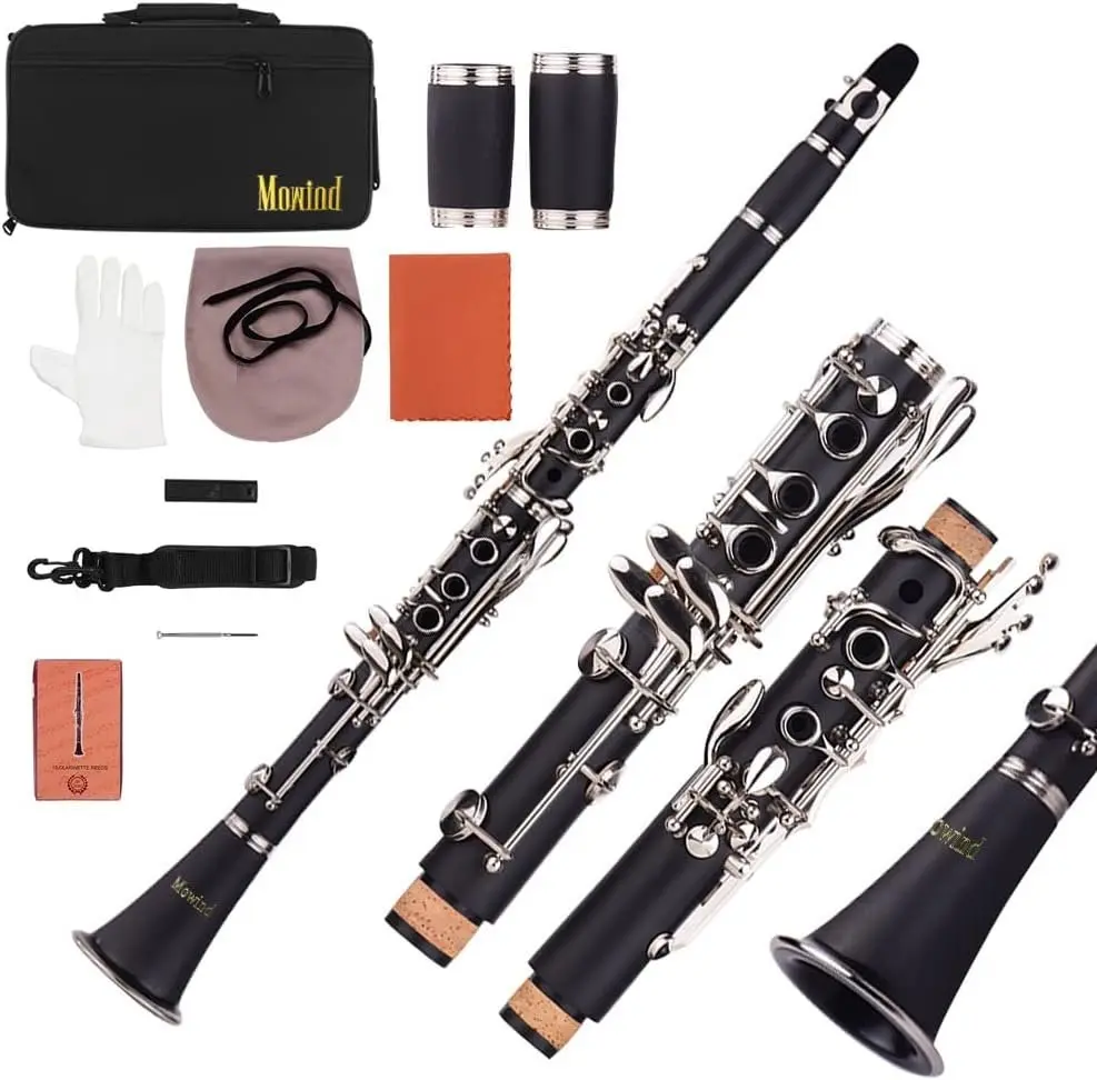 Flat Clarinet - 17 Key Beginner Student Woodwind Instrument with 2  and Carry Case, Includes Cleaning Kit